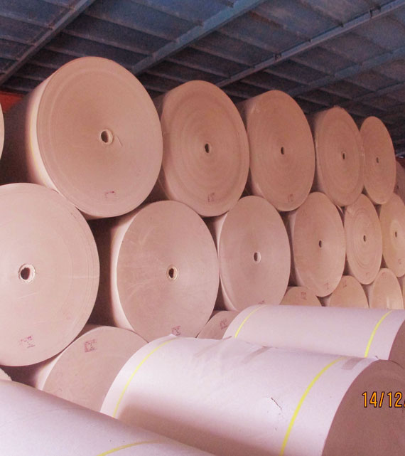 Sonali paper & Board mills limited