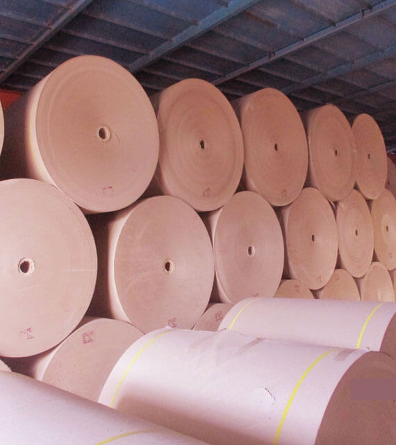 Sonali-paper-Board-mills-limited